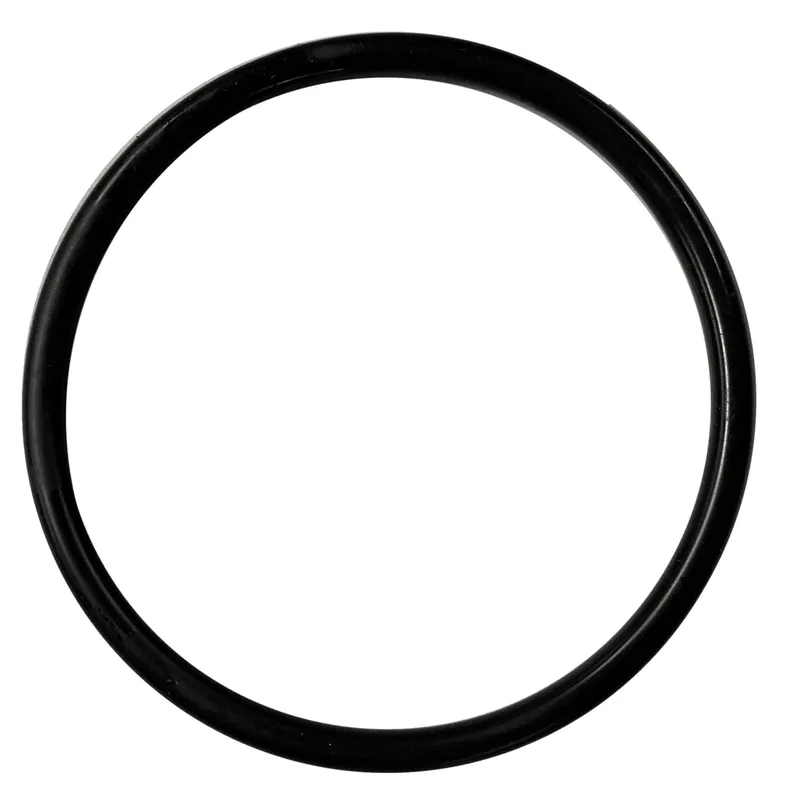 UWS Adey O-Ring Dichtung Deckel für Pro2, Micro2, Pro2 XP, Dual XP