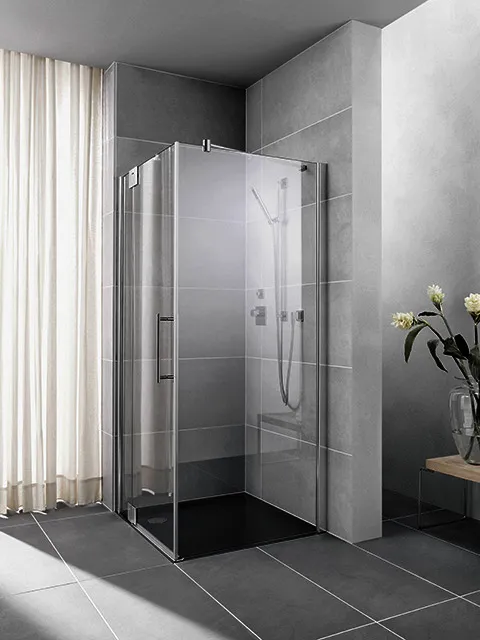 Kermi Seitenwand Pasa XP TWD 1000x 2000 BV: 970-1000 SIMG ESG klar Clean
