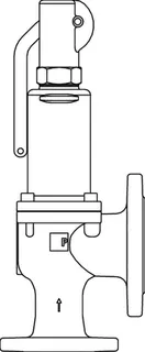 PNEUMATEX Sicherheitsventil DSV 40-3,0 DGH, GGG, Farbe Beryllium – Bild 3