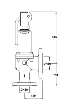 PNEUMATEX Sicherheitsventil DSV 50-3,0 DGH, GGG, Farbe Beryllium – Bild 3