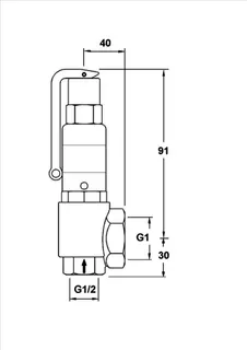 PNEUMATEX Sicherheitsventil DSV DSV 15-3.0 DGH, IG/IG, Rotguss – Bild 5