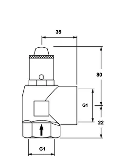 PNEUMATEX Sicherheitsventil DSV DSV 25-4.0 F, IG/IG, für Kühlanlagen – Bild 3