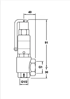 PNEUMATEX Sicherheitsventil DSV DSV 15-2.5 DGH, IG/IG, Rotguss – Bild 5