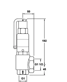 PNEUMATEX Sicherheitsventil DSV25-2,0 DGH, Rotguss – Bild 5