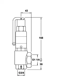 PNEUMATEX Sicherheitsventil DSV DSV 20-2.5 DGH, IG/IG, Rotguss – Bild 5