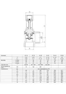 SYR Membran-Sicherheitsventil 2115 DN 40, 8bar Rotguss – Bild 3