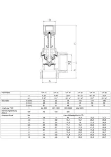 SYR Membran-Sicherheitsventil 2115 DN 40, 10bar Rotguss – Bild 3