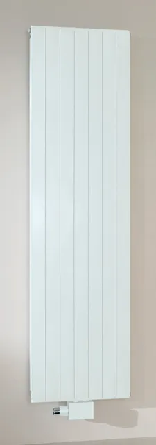 BEMM HEW Pawa V-H2200x032x0490 Typ V 220 vertikal, Weiss 9016