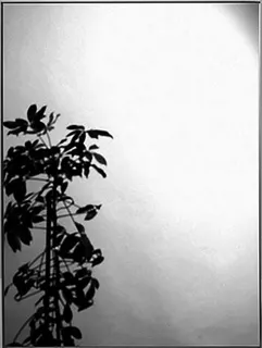 sanibel 1001-Spiegel rechteckig A21 400x300mm ohne Befestigung