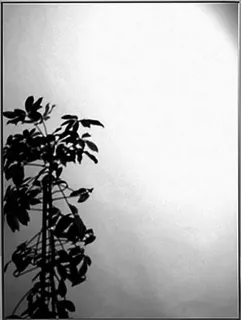 sanibel 1001-Spiegel rechteckig A21 600x450mm ohne Befestigung