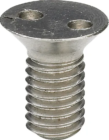 Viega Senkschraube 4933.8 in M5 x 10mm Chromnickelstahl