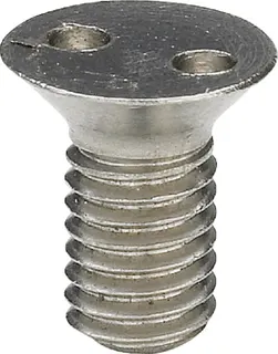 Viega Senkschraube 4933.8 in M5 x 10mm Chromnickelstahl