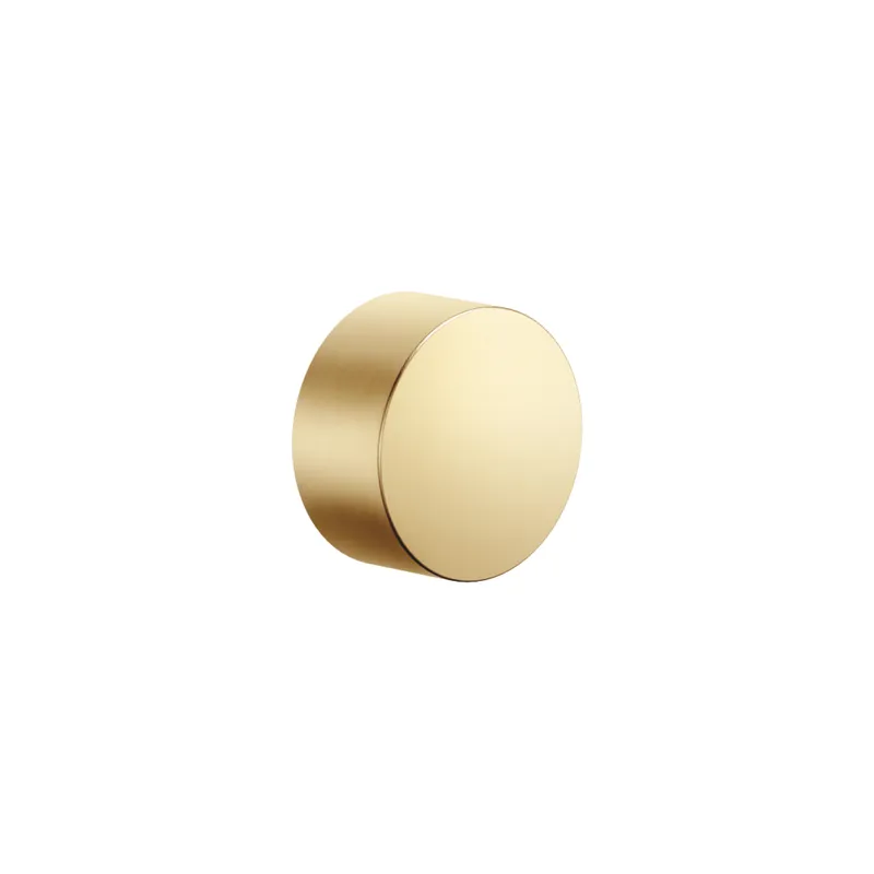 Dornbracht Unterputzvent. SERIENSPEZIFISCH 36607740 Messing gebürstet (23kt Gold)