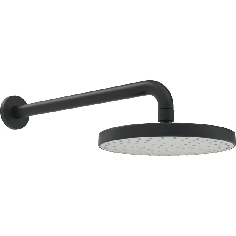 Kopfbrause HANSABASICJET 4436 1-strahlig d 200 mm L=348 Matt-Schwarz