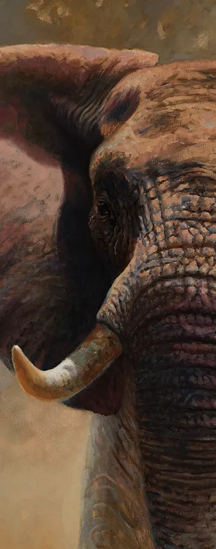 Wandverkleidung 1500x2550 mm more4YOU, Elephant by Pöppelmann