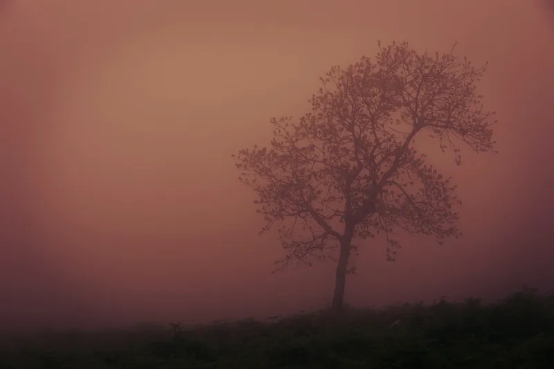 Wandverkleidung 1500x2550 mm more4YOU, Tree