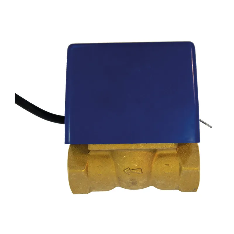 SOLARFOCUS 2-WEG-MOTORVENTIL 1" IG
