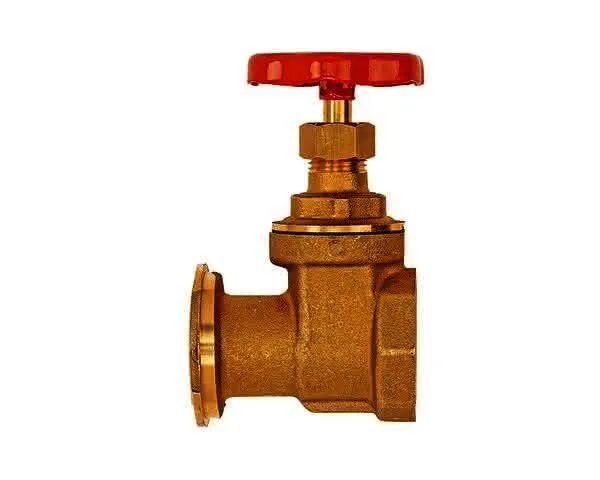 FL Pumpenschieber 1" Flansch x 1" IG