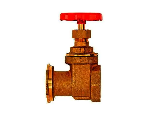 FL Pumpenschieber 1" Flansch x 1" IG,mit Schwerkraftbremse