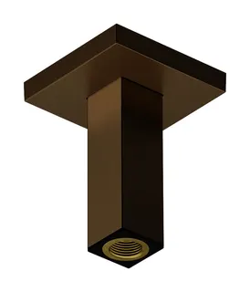 Hansgrohe Deckenanschluss E 100mm BBR – Bild 2