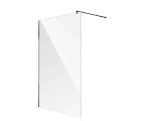 Koralle Trennwand WalkIn SL450 WWBO 100 985-1000x2000 si poliert ESG transparent