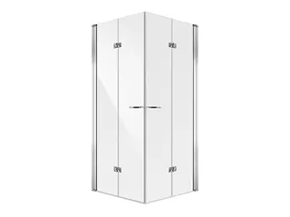 Koralle Eckdusche Schenkel SL450 EFTBOS R 90 885-900x2000 Silber poliert ESG trans.