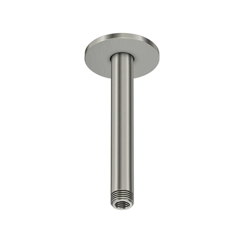 Brausearm Deckenmontage 4YOU brushed nickel