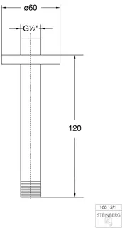 Brausearm Deckenmontage 4YOU brushed nickel – Bild 2