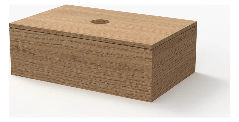 SA Box mit Deckel (ZB432) 52x103x160