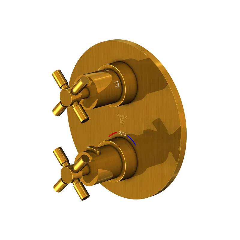 FMS zu Unterputzthermostat, 2-Wege, BG 250 4133 3 BG, brushed gold