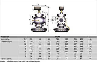 Resideo Druckunabh. Regelventil Kombi-QM Grauguss, DN65, 3000-30000l/h, 30-600kPa – Bild 5