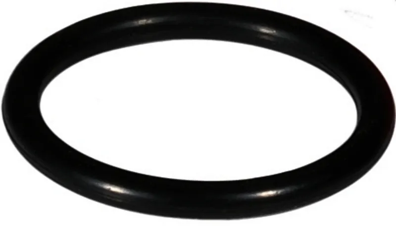 Resideo O-Ring 2504500 zu Filterhaube F76S, DN65