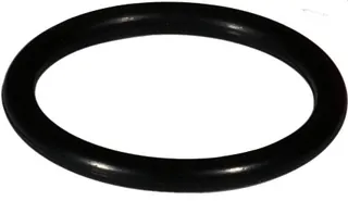 Resideo O-Ring 2504500 zu Filterhaube F76S, DN65 – Bild 2