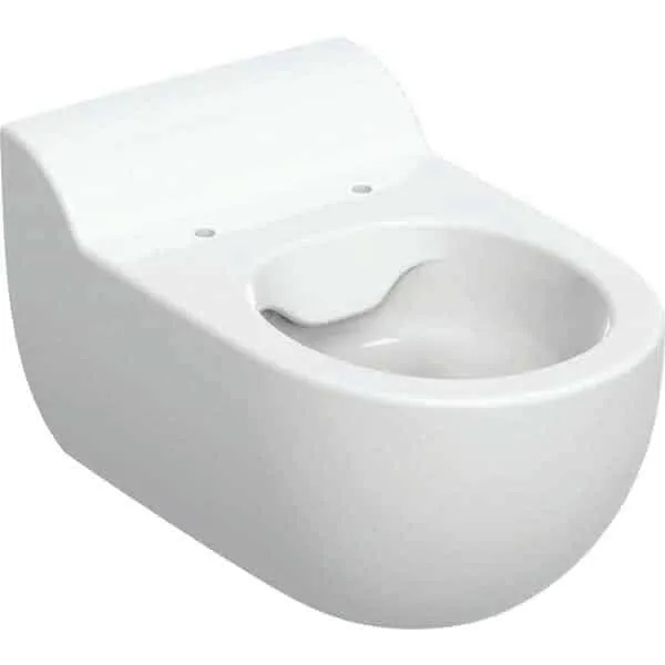 Geberit Bambini WWC für Kinder, Tiefspüler Rimfree, H:35cm, weiß