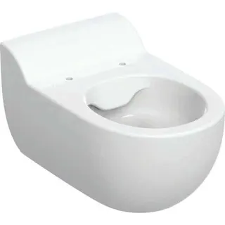 Geberit Bambini WWC für Kinder, Tiefspüler Rimfree, H:35cm, weiß