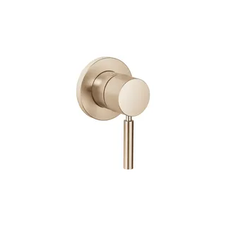 Dornbracht UP-EHM m.Abdeckpl. SERIENSPEZIFISCH 36060660 Champagne gebürstet (22kt Gold)