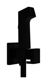 Hansgrohe Handbrause Bidette E f.Kaltwasser m. Schlauch 1250mm und Porter MSW