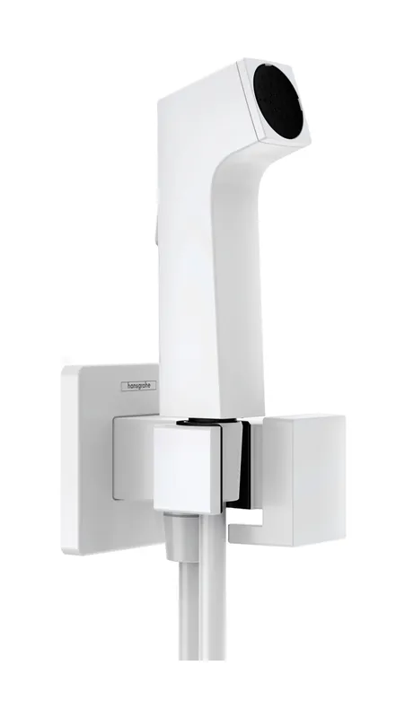 Hansgrohe Handbrause Bidette E f.Kaltwasser m. Schlauch 1250mm und Porter MW