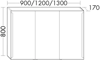 BB Spiegelschr. (SPES100) Sys30, 170x1000x800, PG1