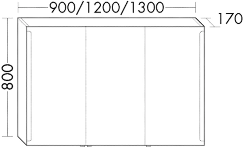 BB Spiegelschr. (SPES100) Sys30, 170x1000x800, PG2