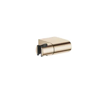 DO Br.H., schwenkbar SERIENNEUTRAL 28060970 Light Gold gebürstet