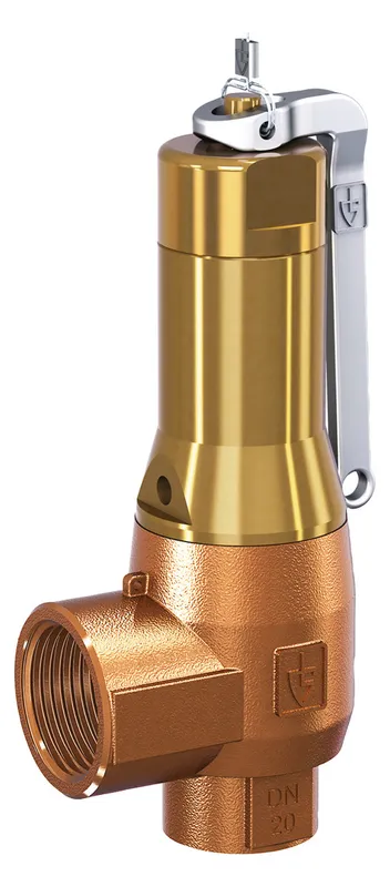 PNEUMATEX Sicherheitsventil DSV DSV 25-2.5 DGF, IG/IG, Rotguss