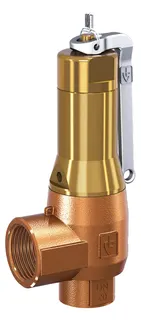 PNEUMATEX Sicherheitsventil DSV DSV 25-2.5 DGF, IG/IG, Rotguss