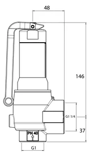 PNEUMATEX Sicherheitsventil DSV DSV 25-2.5 DGF, IG/IG, Rotguss – Bild 2