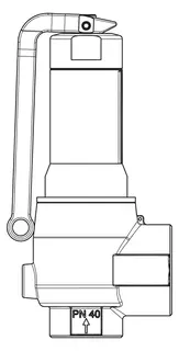 PNEUMATEX Sicherheitsventil DSV DSV 25-2.5 DGF, IG/IG, Rotguss – Bild 3