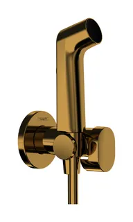 HG Handbrause Bidette S f.Kaltwasser m. Schlauch 1250mm und Porter PGO