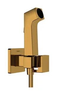 HG Handbrause Bidette E f.Kaltwasser m. Schlauch 1250mm und Porter PGO