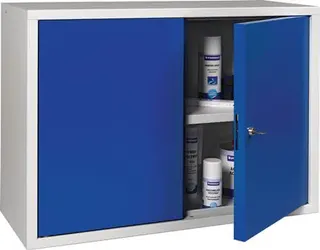 Hängeschrank H600xB800xT300mm Vollblech,1 BD – Bild 2