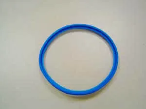 Remeha PPS Dichtung DN100 M85016