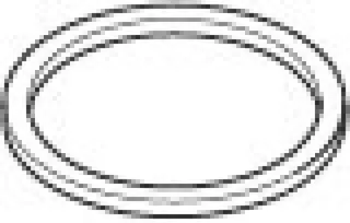 Dornbracht Scheibe ERSATZTEILE 081010620 D 27,5 x 23,5 x 1,5 mm